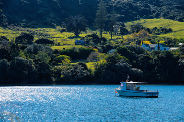 海外にも温泉はある！ニュージーランドのおすすめ温泉 画像