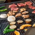 熊本・阿蘇乙姫温泉「湯ら癒ら」10月1日リニューアル、ネット予約と愛犬同伴客室を新設