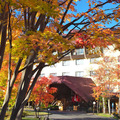 カップルにおすすめ！草津温泉旅館ランキングベスト10 画像