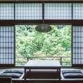 【創業100年】信州・蓼科の一軒宿「蓼科親湯温泉」が100周年記念プランを開始——1万円割引券付き宿泊や3万冊蔵書ラウンジで大人のおこもり旅