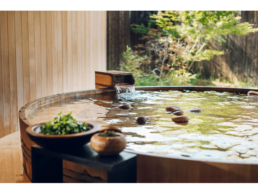 星野リゾート「界 遠州」に煎茶×温泉の新客室「茶ごもり特別室」誕生──89㎡露天風呂付き、50通りの煎茶体験