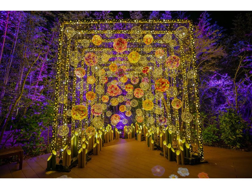 竹灯りが温泉神社を幻想的に彩る——長崎・雲仙温泉「雲仙涼花燈～地獄の夜詣～」が6月26日から初開催