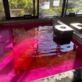 極楽湯・RAKU SPA全国30店舗でお風呂がピンクに染まる「しあわせピンクリボンの湯」10月1日から開催