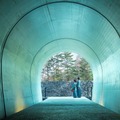 星野リゾート「界 草津」が6月7日開業——宿泊者専用トンネルで温泉街と木立の湯宿をつなぐ新体験