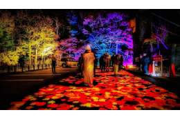 北海道・層雲峡温泉で「奇跡のイルミネート9」、日本一早い紅葉を彩る夜間ライトアップ開催 画像