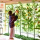 定山渓 鹿の湯・花もみじ、願いを月に託す「願掛けお月見飾り」8月25日から開催 丸い短冊に想いを込め神社へ奉納 画像