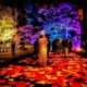 北海道・層雲峡温泉で「奇跡のイルミネート9」、日本一早い紅葉を彩る夜間ライトアップ開催 画像