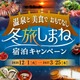 島根県が「冬旅しまね宿泊キャンペーン」、最大5,000円のクーポンを11月9日から発行 画像